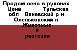 Продам сено в рулонах › Цена ­ 1 250 - Тульская обл., Веневский р-н, Оленьковский п. Животные и растения » Аксесcуары и товары для животных   